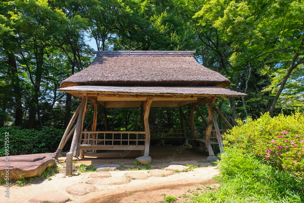 新緑の六義園 つつじ茶屋