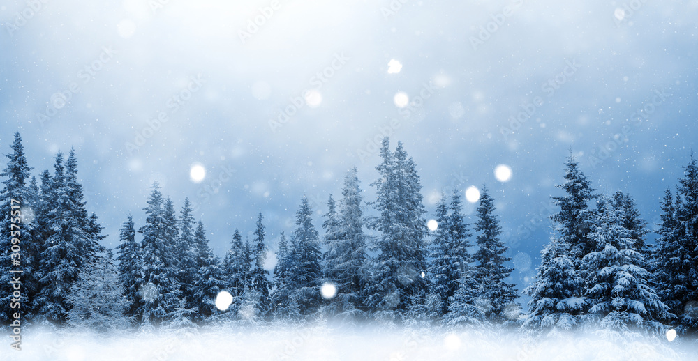 Märchenhafte Winterlandschaft, schneebedeckter Wald ,it fdfallenden Schneeflocken, für Weihnachtskarte, Neujahrsgrüsse, Winterhintergrund