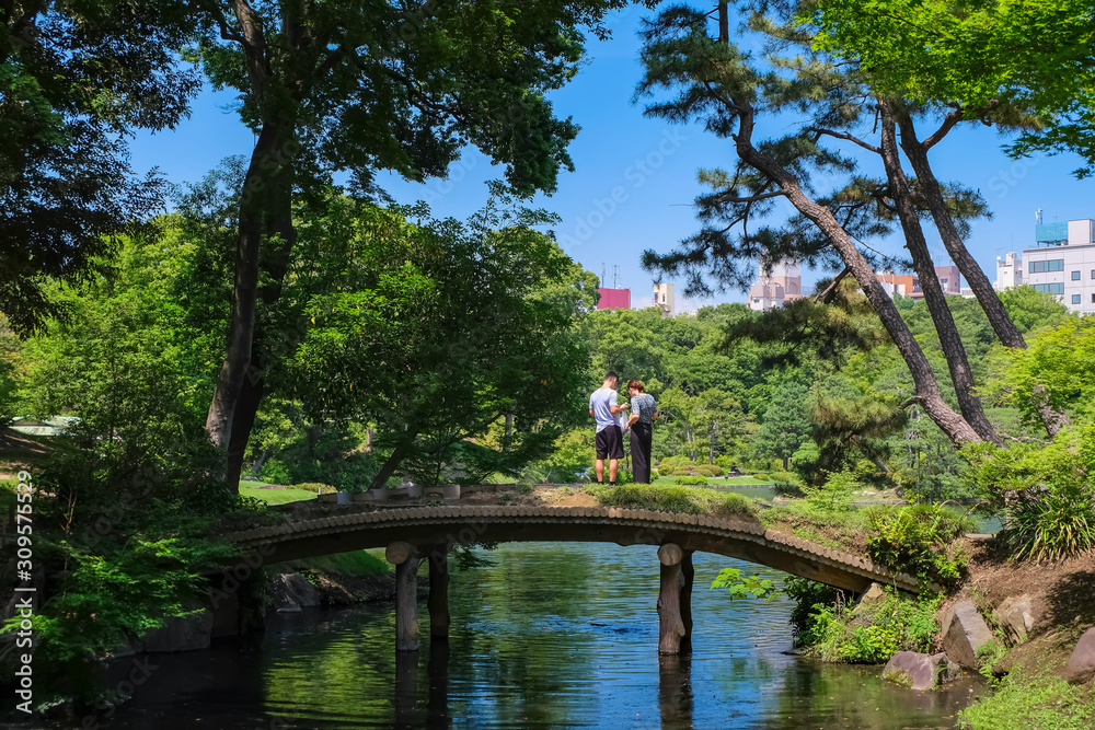 Obraz premium 新緑の六義園 千鳥橋