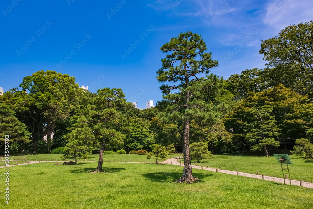 新緑の六義園