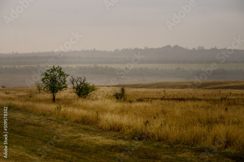 fields in the Rostov region on a rainy autumn day