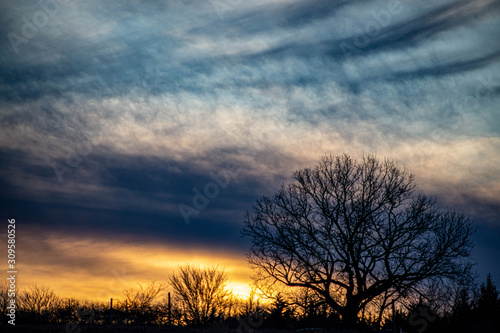 A dramatic sunset over silhouetted trees with orange  gold  and red clouds.