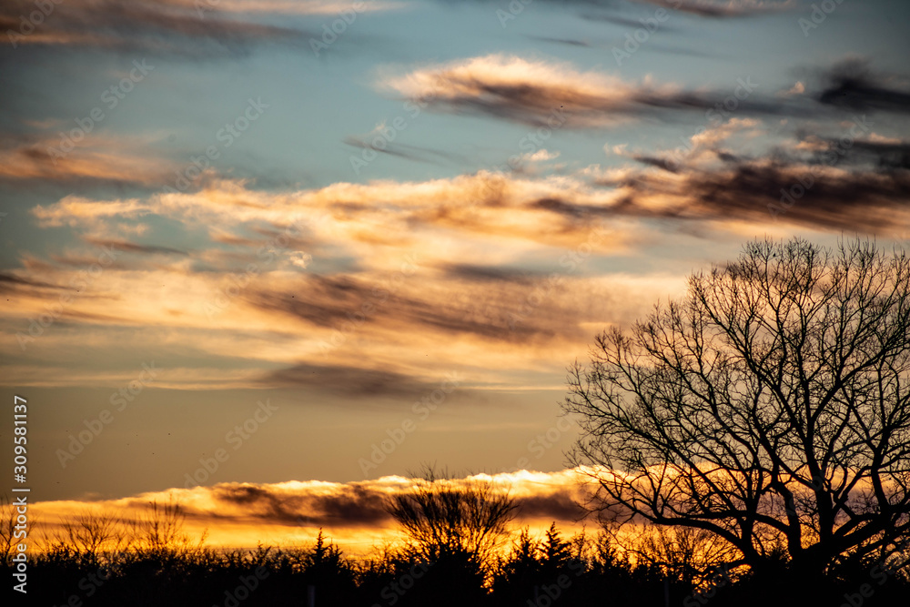 A dramatic sunset over silhouetted trees with orange, gold, and red clouds. A dramatic sunset over silhouetted trees with orange, gold, and red clouds.