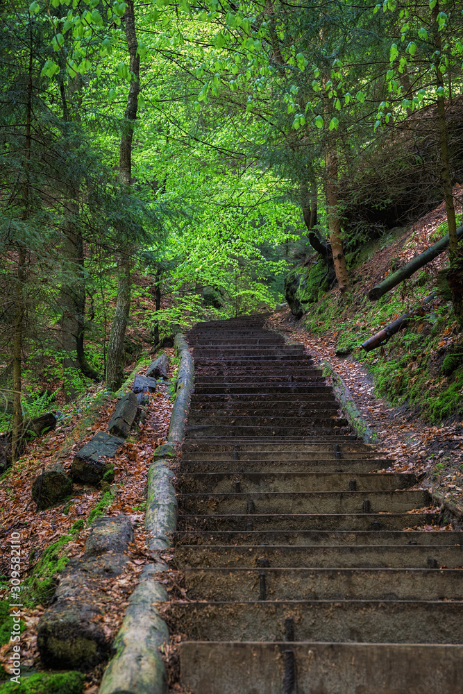 A stone stairway is going up the hill