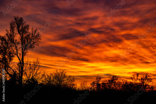 A dramatic sunset over silhouetted trees with orange  gold  and red clouds.
