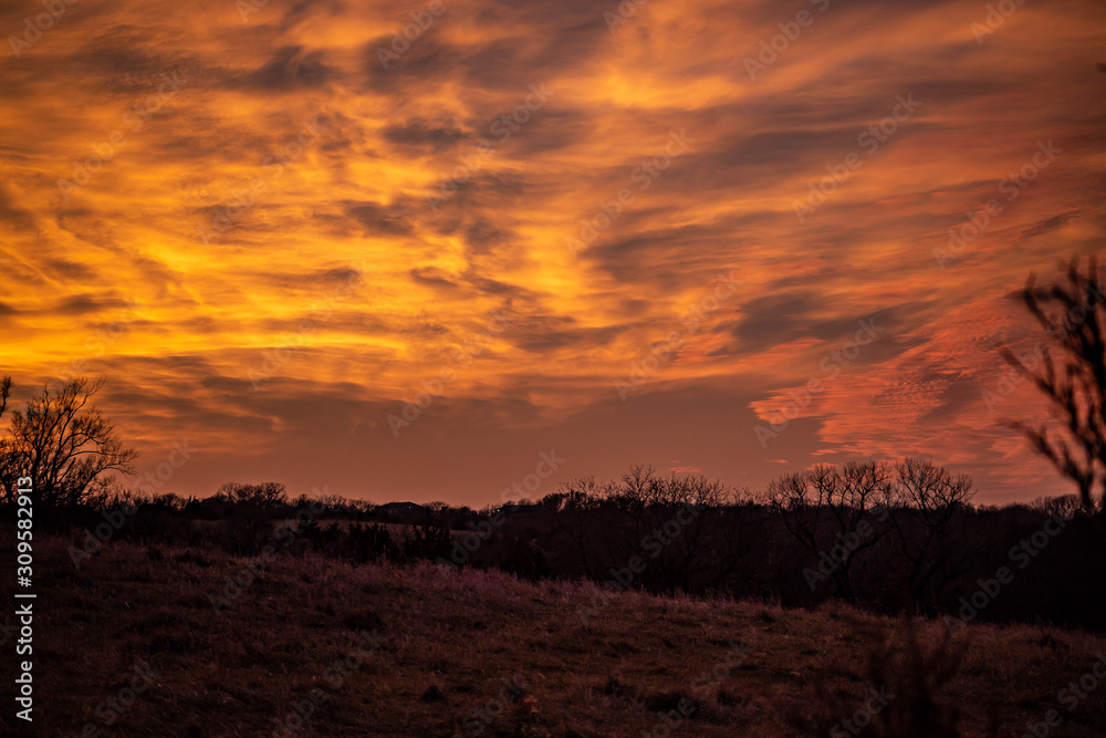 Golden sunset over a rural landscape and countryside with trees silhouetted Golden sunset over a rural landscape and countryside with trees silhouetted