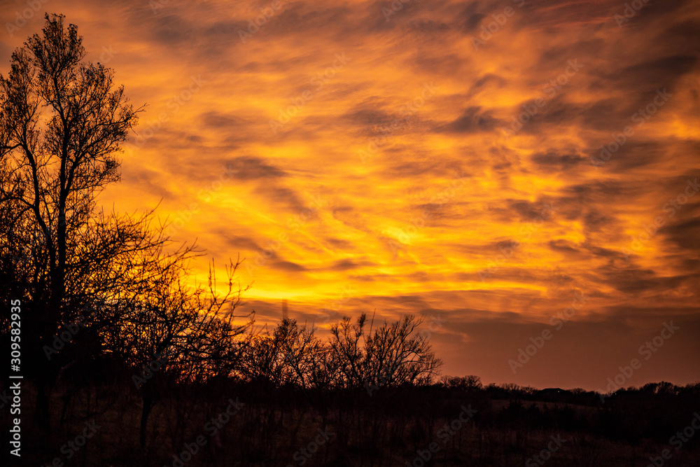 Golden sunset over a rural landscape and countryside with trees silhouetted