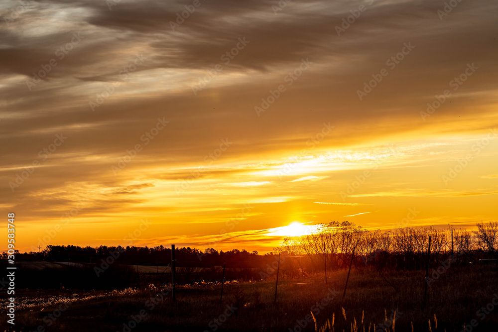 Golden sunrise over a rural countryside with trees in silhouette Golden sunrise over a rural countryside with trees in silhouette