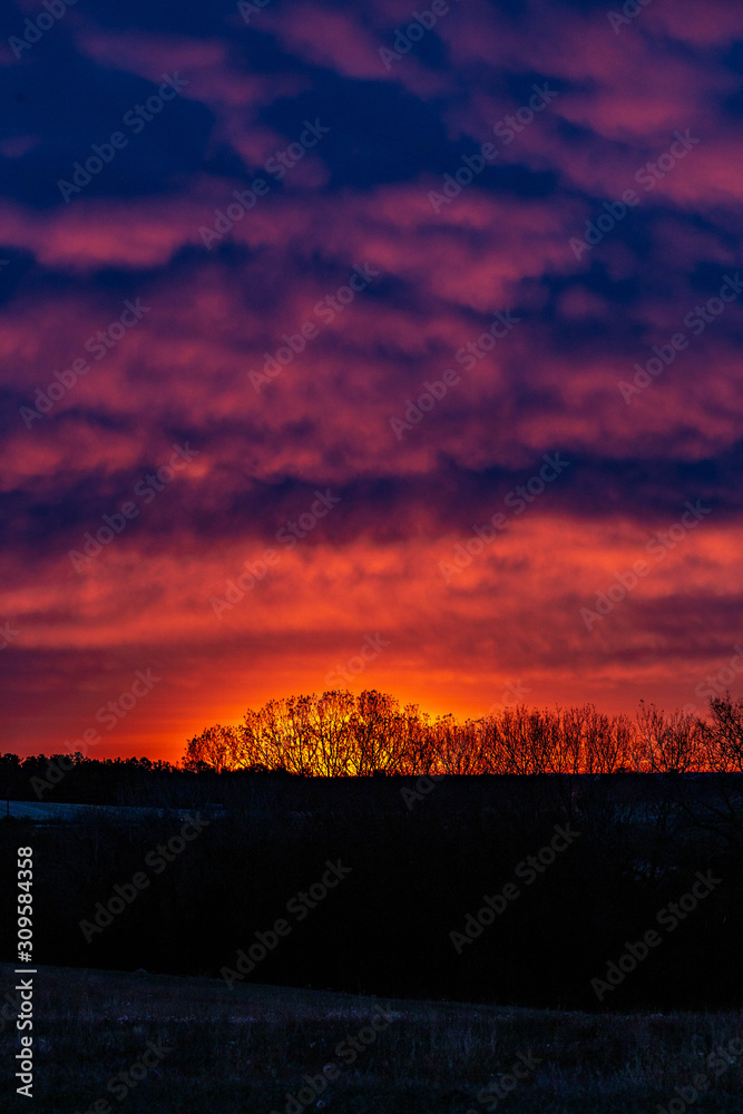 Dramatic autumn sunrise with a treeline silhouette in purple, red, and orange in the clouds