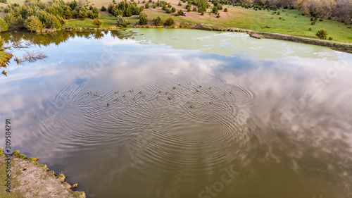 Morning over a rural countryside pond with ducks and geese in Nebraska during autumn © Phyre Sky