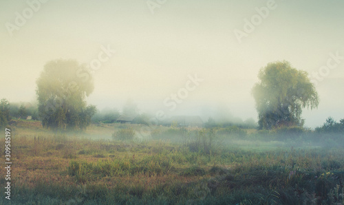 rural landscape with fog in the style of paintings by Ivan Shishkin