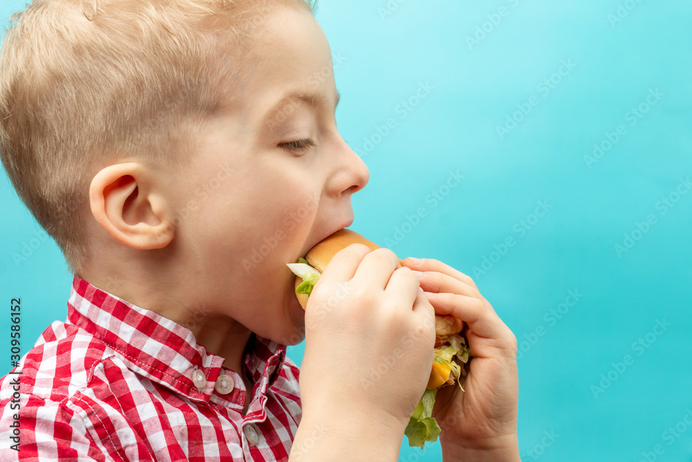 boy eats a Burger. kids love hamburger. the boy in the red shirt on a blue background boy eats a Burger. kids love hamburger. the boy in the red shirt on a blue background