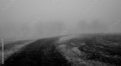 country lane with snow in winter