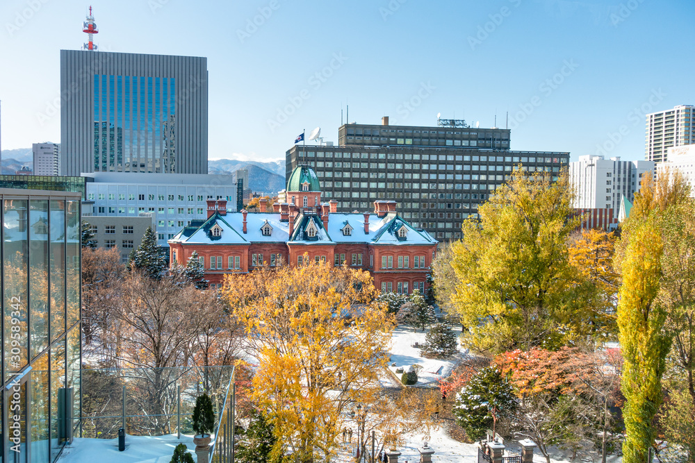 冬の北海道庁赤レンガ / 北海道札幌市の観光イメージ