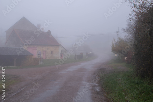Fototapeta Naklejka Na Ścianę i Meble -  small road with mist in France
