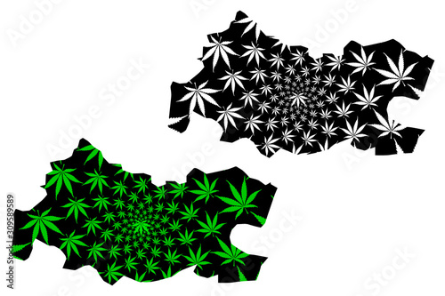 Tissemsilt Province (Provinces of Algeria, Peoples Democratic Republic of Algeria) map is designed cannabis leaf green and black, Tissemsilt map made of marijuana (marihuana,THC) foliage.... photo