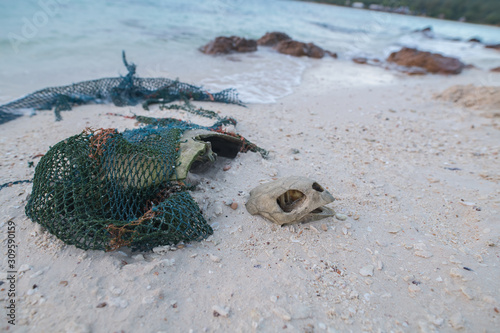Fototapeta Naklejka Na Ścianę i Meble -  Dead endangered sea turtle on beach with fishing net wrapped around it
