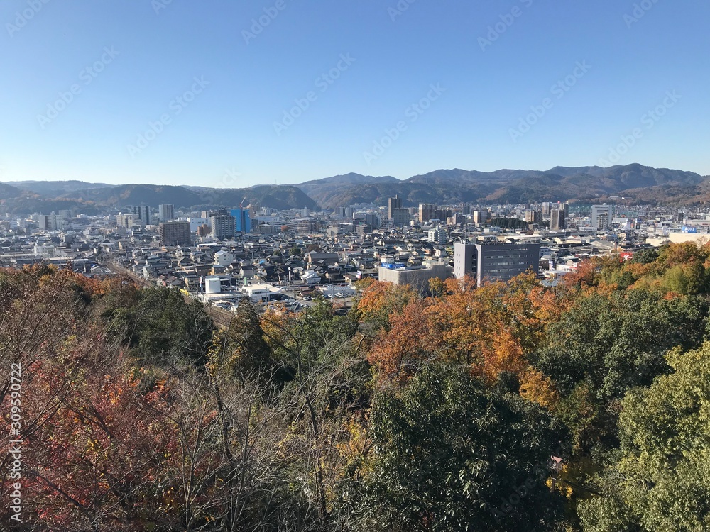 View of the Japanese City in Basin from a Hill in Autumn	