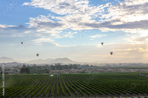 Hot air balloon fly over vine yards 