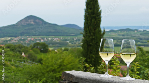 Two glasses of fine riesling wine in the Badacsony region in Hungary out in the nature