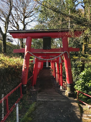 Series of Red Torii Gate in Japan