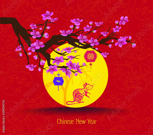 Year of the Mouse, Chinese New Year Cherry Blossom and Lantern. 