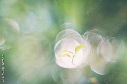 Zarter Hintergrund mit Bokeh und Blatt