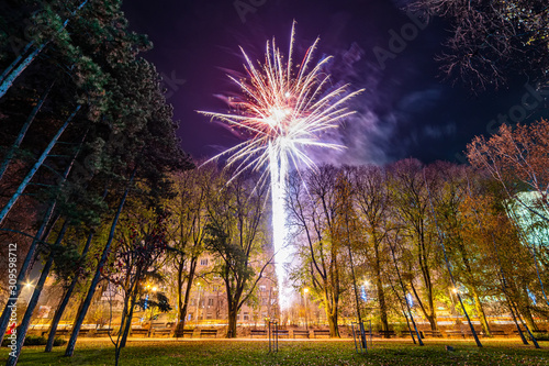 Fireworks in Danube park in Novi Sad, Serbia.
