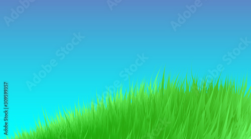 Green grass meadow background. Border pattern on blue sky spring or summer. Field, lawn organic, bio, eco. High fresh digital imitation, blend. Vector illustration Eps 10