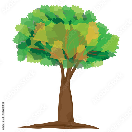 isolated green tree vector design