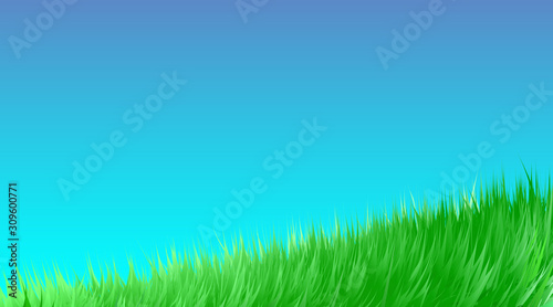 Green grass meadow background. Border pattern on blue sky spring or summer. Field, lawn organic, bio, eco. High fresh digital imitation, blend. Vector illustration Eps 10.