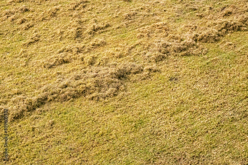 Debris Left Over by an Electric Lawn Dethatcher