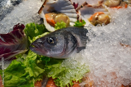 Fototapeta Naklejka Na Ścianę i Meble -  fresh fish on ice