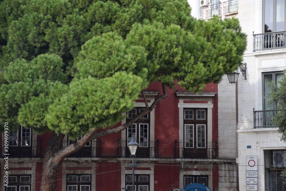 Obraz premium Lisbonne