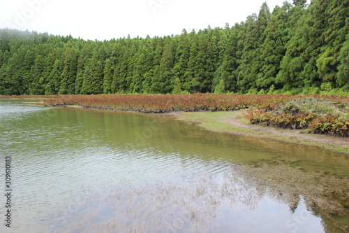 The Azores Islands: San Miguel photo