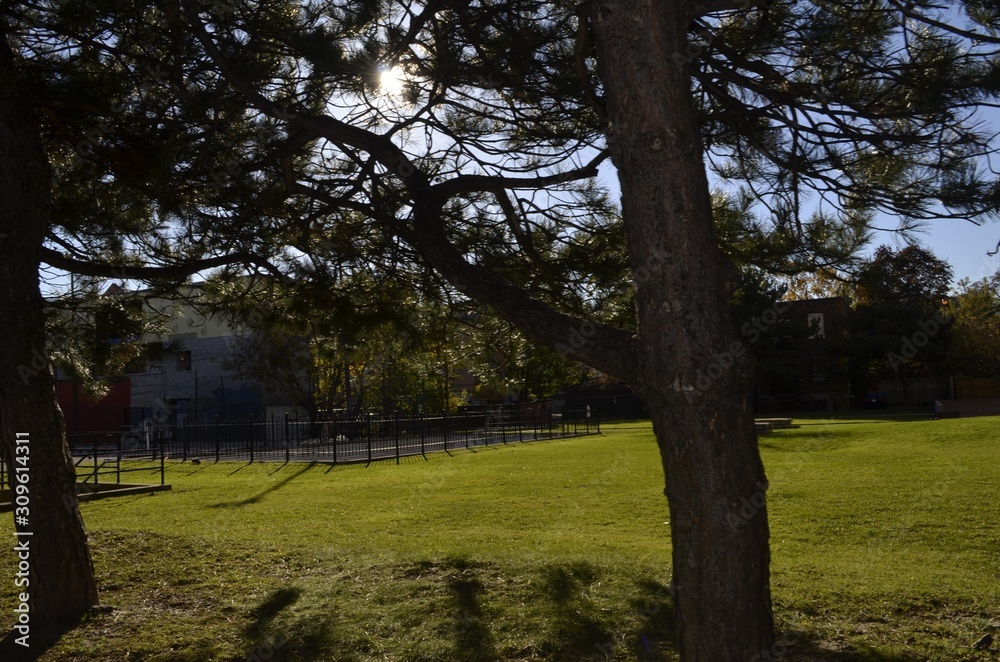 木漏れ日と公園 木漏れ日と公園