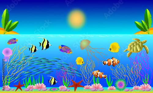 Fototapeta Naklejka Na Ścianę i Meble -  Vector illustration of tropical fish with beautiful underwater world of the sea, ocean. Jellyfish, corals, fish, starfish, killer whales, algae, stones, water, sky. Poster, banner.