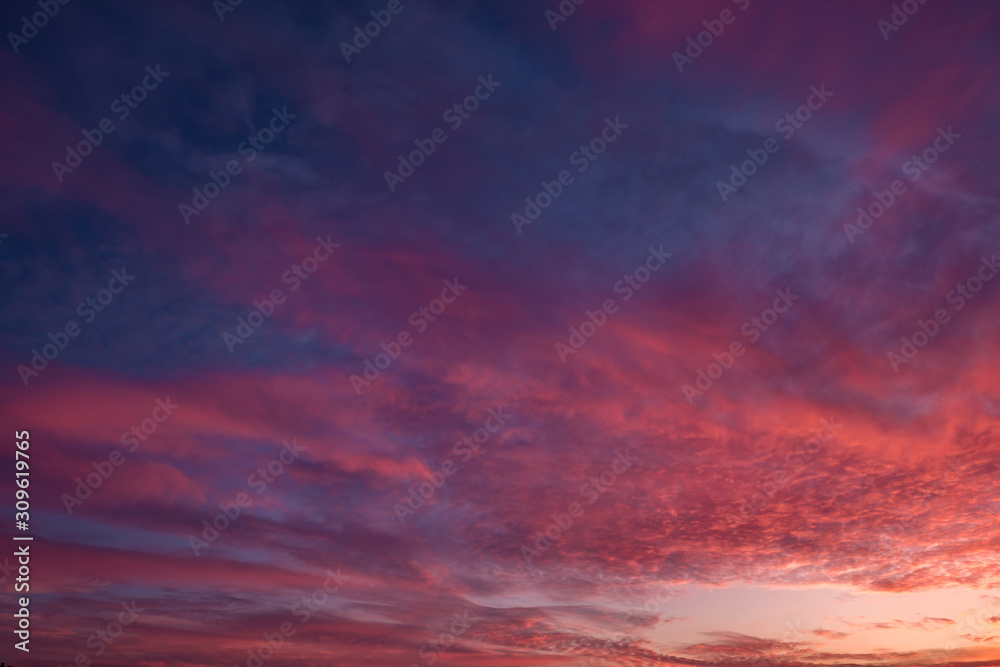 Blue violet red sunset sky background with evening fluffy curly rolling cirrostratus clouds. Good windy weather Blue violet red sunset sky background with evening fluffy curly rolling cirrostratus clouds. Good windy weather