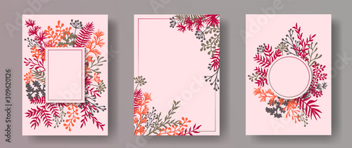 Cute herb twigs, tree branches, flowers floral invitation cards templates. Bouquet wreath rustic cards design with dandelion flowers, fern, mistletoe, eucalyptus leaves, savory twigs.