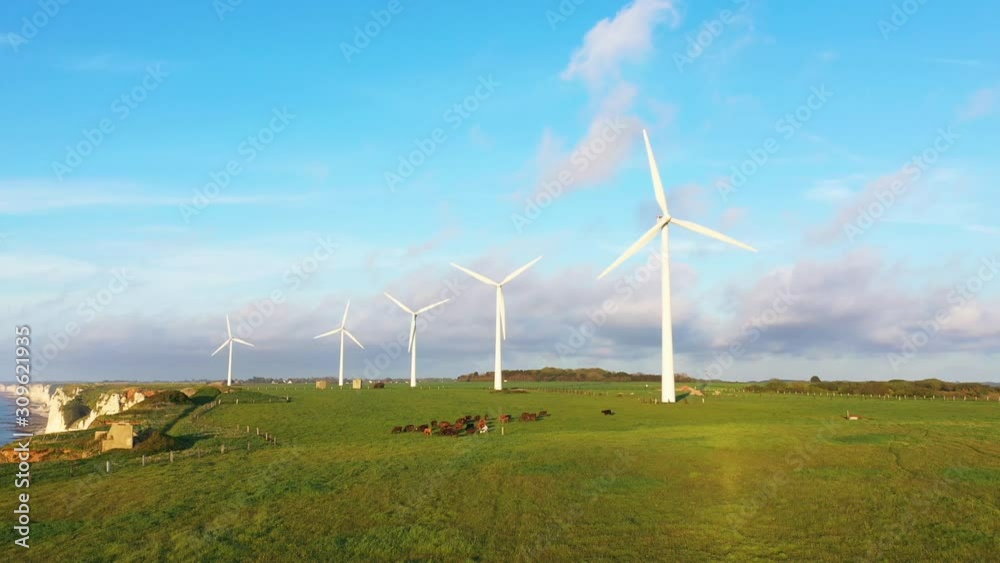 Cinq éoliennes dans un champ normand au bord de la mer	
