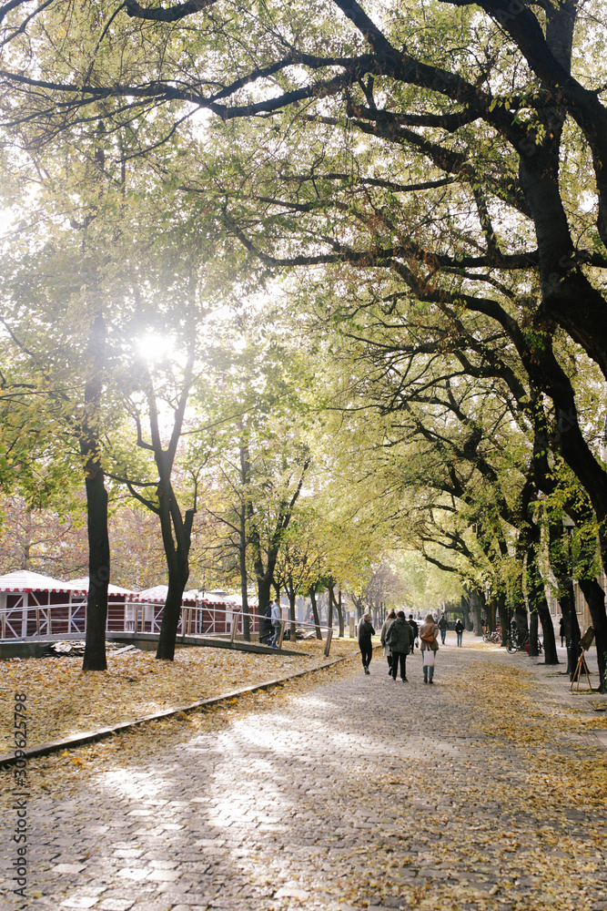 Beautiful autumn in the city. Historical building and autumnal leaves. Beautiful autumn in the city. Historical building and autumnal leaves.
