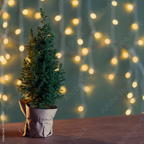 yellow green gift idea home plant christmas tree bokeh table decoration