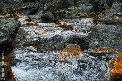 Mountain stream with yellow stones. Rapid flow of river, boiling water © Koirill