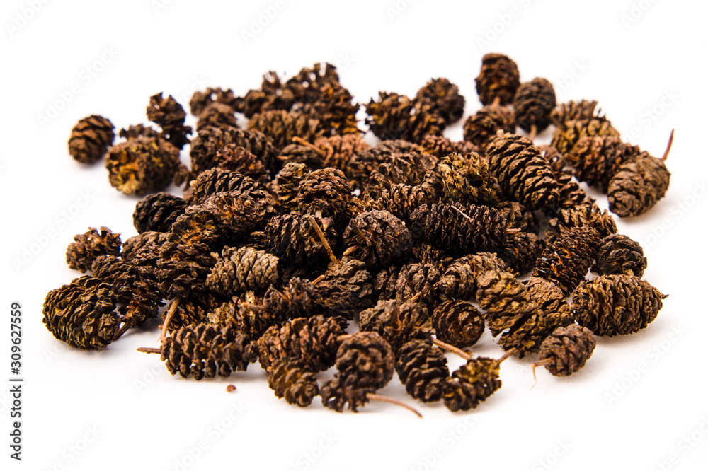 Alder cone for an aquarium and a tank for fish and shrimp. Alder cone for an aquarium and a tank for fish and shrimp.