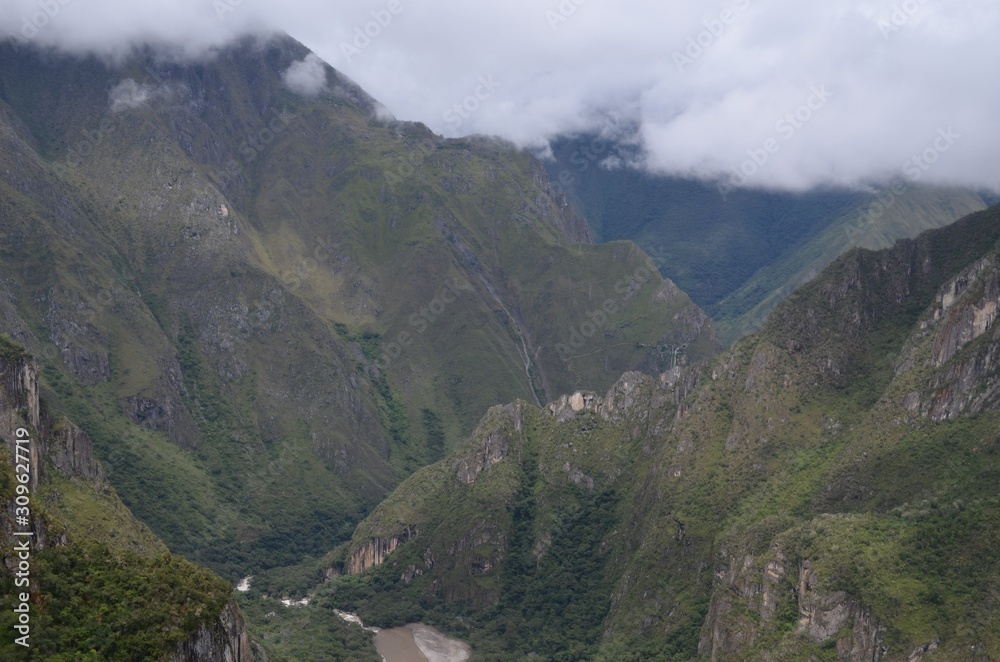 南米　自然　風景　森