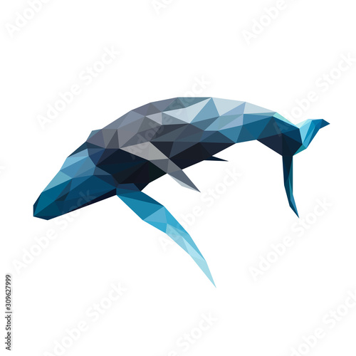 Low poly illustration of whale