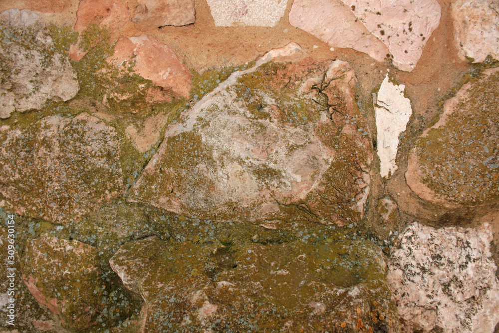Obraz premium MOSS ON THE STONE TEXTURE