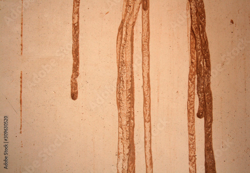Wallpaper Mural BROWN SAINS ON THE WALL TEXTURE Torontodigital.ca