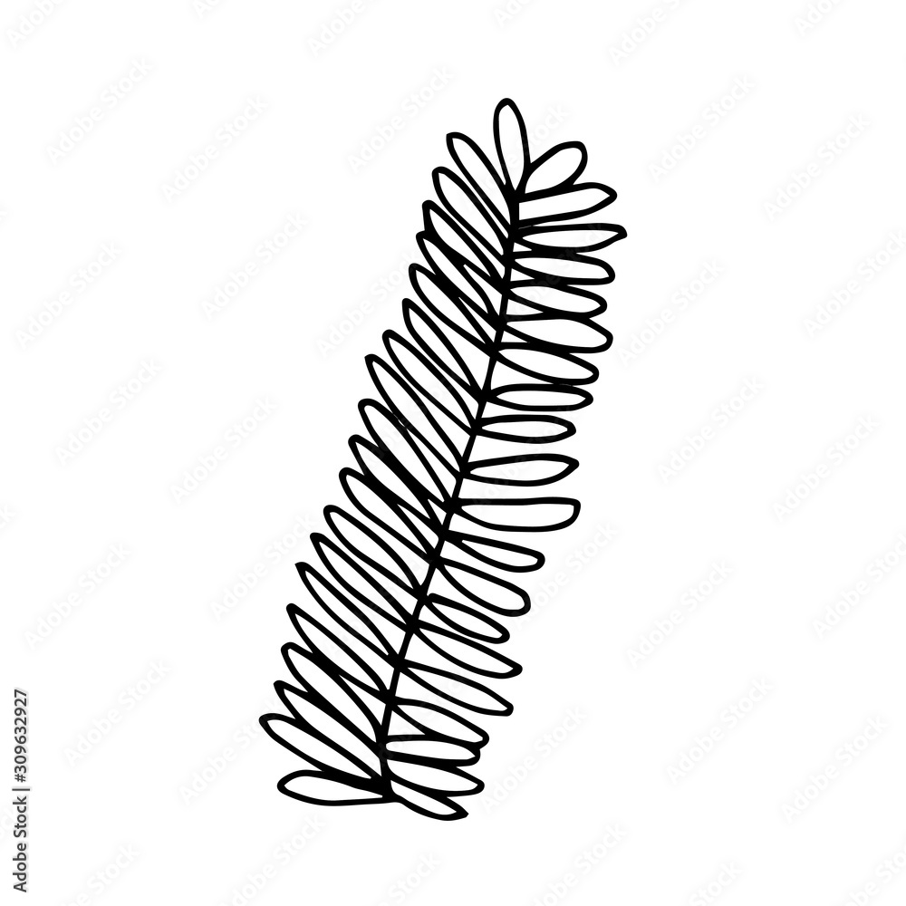 Merry Christmas and Happy New Year doodle decoration. Hand drawn fir branch vector illustration. Fluffy fir tree branch isolated on white background. Line art style illustration for decoration. Merry Christmas and Happy New Year doodle decoration. Hand drawn fir branch vector illustration. Fluffy fir tree branch isolated on white background. Line art style illustration for decoration.
