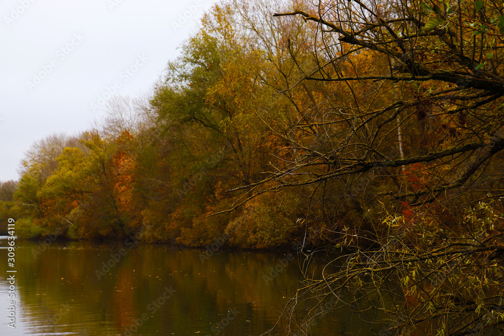 autumn in the park